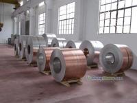 銅鋁復(fù)合板在銅門(mén)行業(yè)的應(yīng)用及推薦